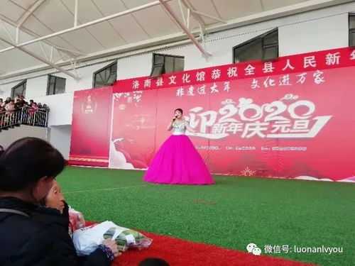 縣文旅局成功舉辦喜迎元旦系列文藝演出暨文化藝術(shù)交流活動(dòng)